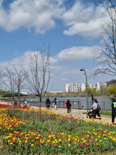 Staylim - Seoul Botanic Park, Airport, Seoul (photo 5)