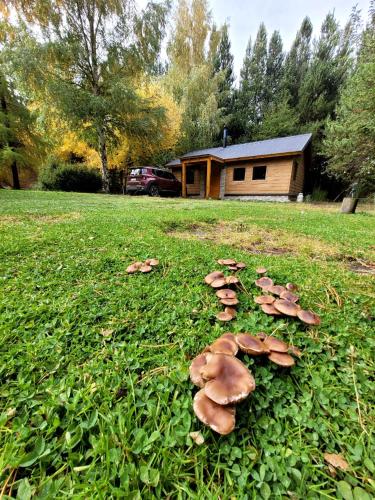 Cabanas el Descanso in Lolog