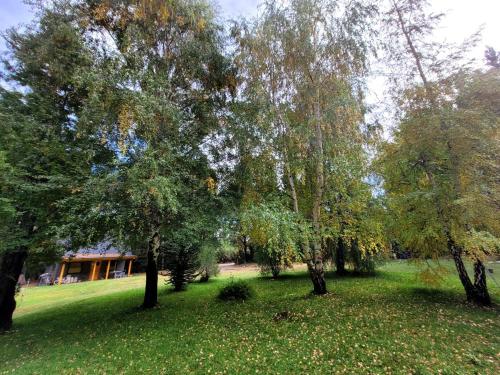 Cabanas el Descanso in Lolog