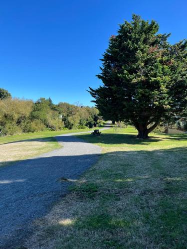 Jen's Oasis in Paraparaumu