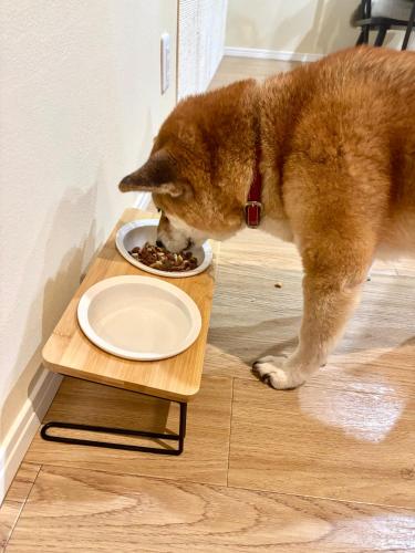 MIRISE Sky Villa & Sauna