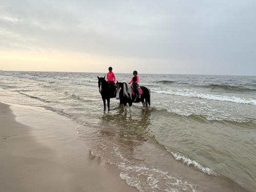 Apartament Słoneczny Shellter Rogowo