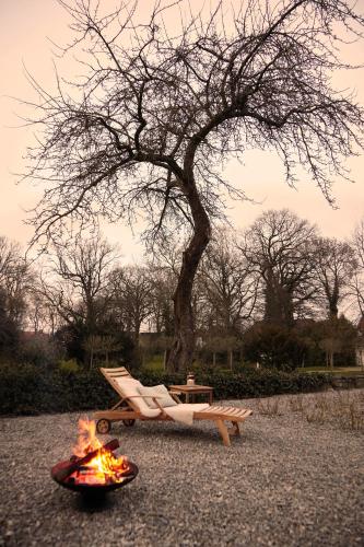 Yard Boarding Hotel - image 2