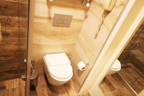 Bakirkoy Tashan Business & Airport Hotel, Istanbul (fotografie 6)