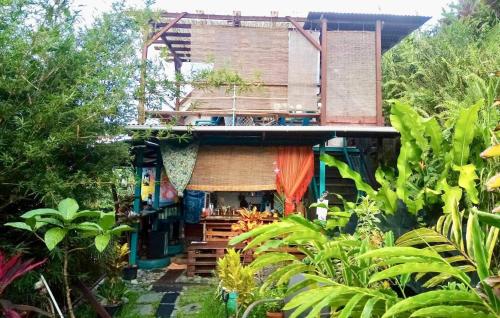 منظر, L'Auberge de jeunesse Tahiti Iti - Beach hostel in ميتيرابا