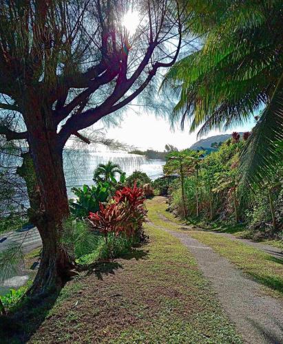 L'Auberge de jeunesse Tahiti Iti - Beach hostel in Mitirapa