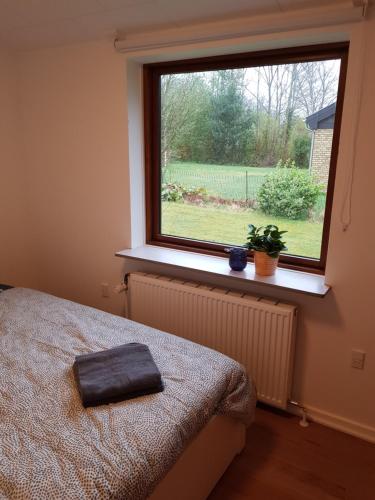 Central Studio in Billund - 500 m from LegoHouse, Billund (photo 8)