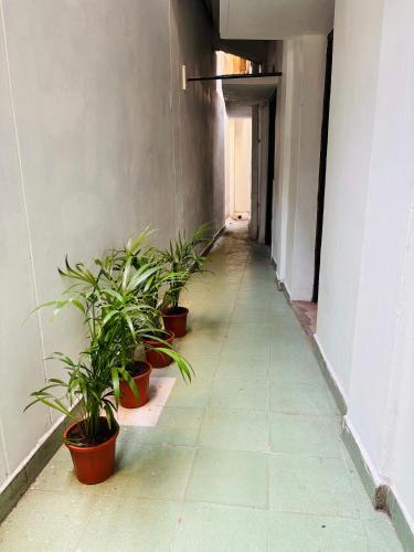 Lobby, Marhaba Guest House - Budget in Chennai