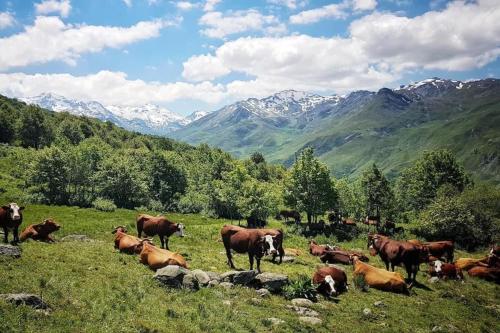 Scenic fully equipped studio in Les Varcins