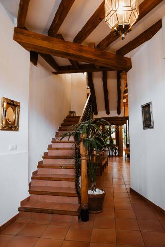 La Casona de Mahora