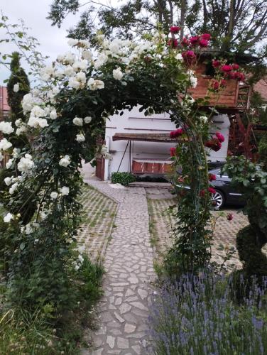 Pensiunea Sub Cetate Deva Pensiunea Sub Cetate Deva