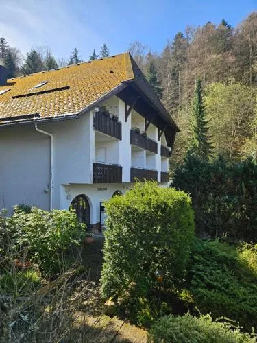 Triberg Falls Hideaway - Apartment 35 in Triberg im Schwarzwald, Deutschland