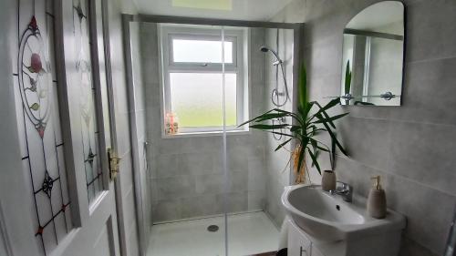 淋浴間, "The Den" Belmullet in 貝爾馬利特