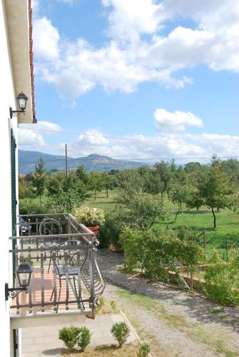 Omgivelser, All Casine in Santa Catarina