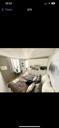 Centers Oslo pulse in St. Hanshaugen