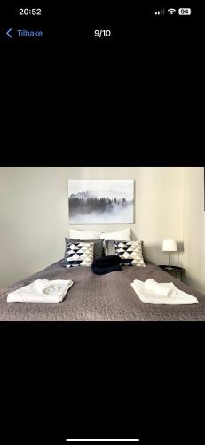 Centers Oslo pulse in St. Hanshaugen