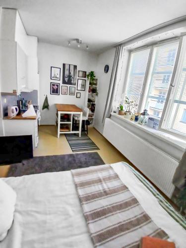 Beautiful apartment in Helsinki in Hakaniemi