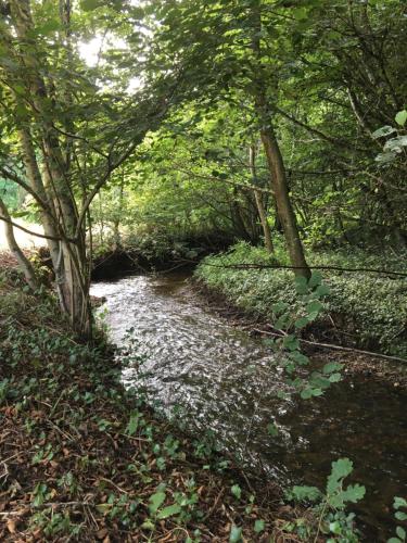 Gite du Moulin Vieux in วิกูล็อง