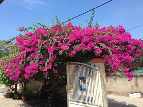 Khách sạn Xuân Trúc Khách sạn Xuân Trúc