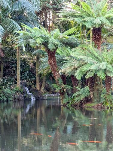 Hotel Vale Verde - image 14