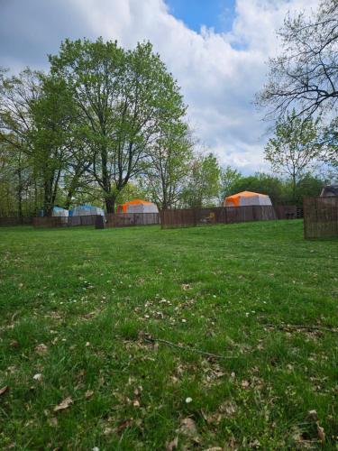 Šeberák - ubytování v chatičkách a v luxusních stanech Šeberák - ubytování v chatičkách a v luxusních stanech