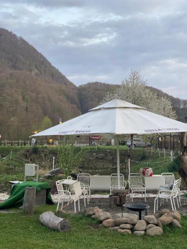 Green Camping in Bistra Mureşului