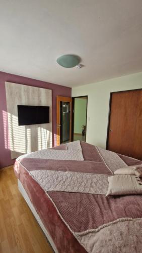 One-Bedroom Apartment image 9