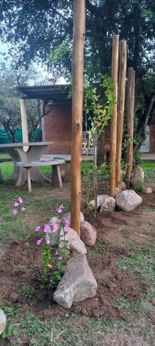 Harmonia suite de campo- Rincón de Afrodita