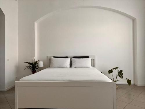 Loft Cream Cremona, Cremona