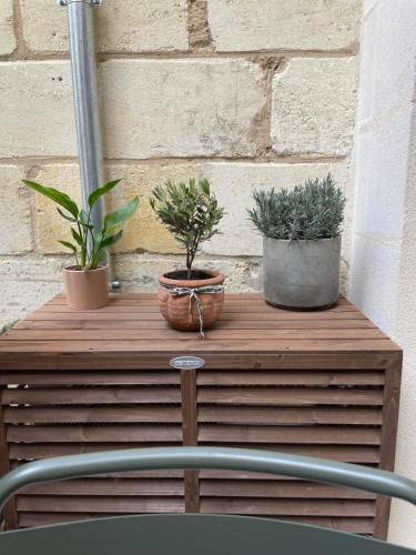 Maison Jeanne, Bordeaux (photo 8)