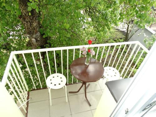 Vila Jenic in Soko Banja