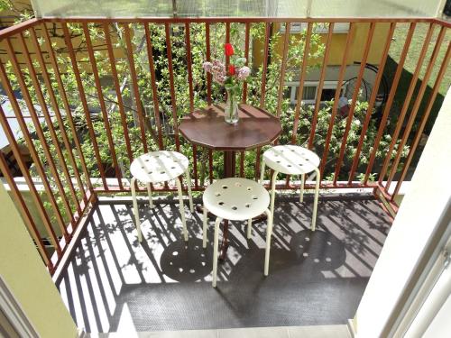 Vila Jenic in Soko Banja