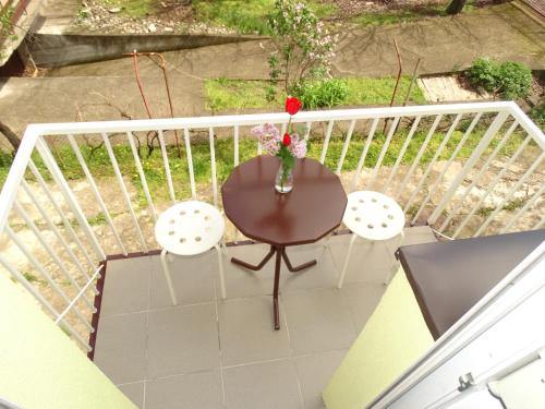 Vila Jenic in Soko Banja