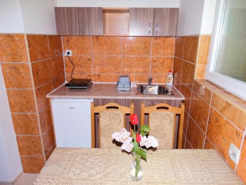 Vila Jenic in Soko Banja