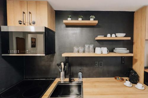 Studio EpiK by Gestion ELITE, Mont-Tremblant (fotografie 10)
