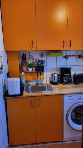 Studio Maia Rezidence in Suceava