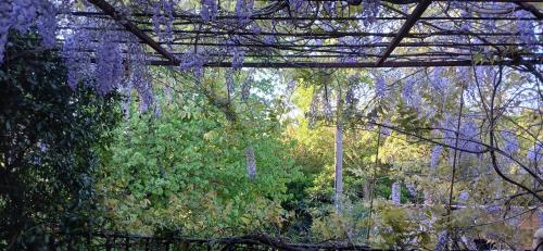 Chambre d'hôte Vaccarès Chambre d'hôte Vaccarès