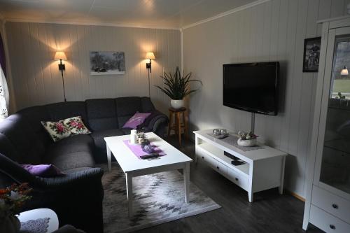 4 bedroom house in beautiful Oldedalen in Briksdalsbre