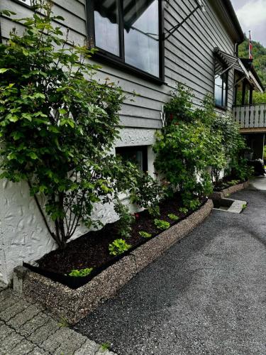 4 bedroom house in beautiful Oldedalen in Briksdalsbre