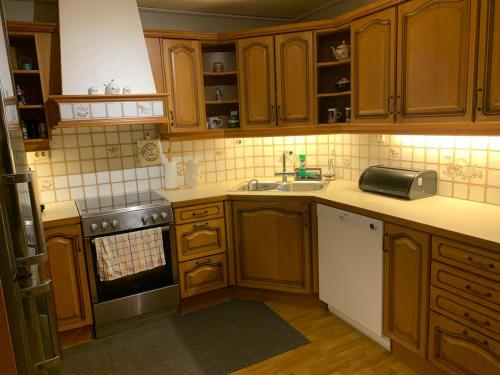 4 bedroom house in beautiful Oldedalen in Briksdalsbre
