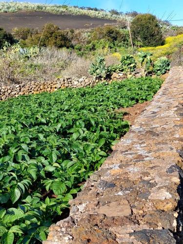 Casa Pilmar Casa Pilmar