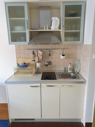 One-Bedroom Apartment with Balcony image 4