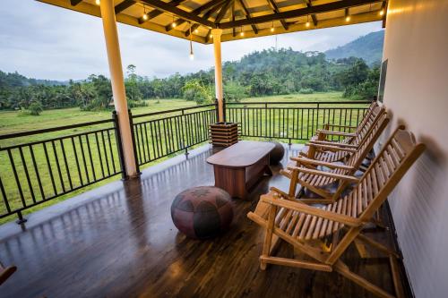Wildlife Kingdom - Deniyaya Sinharaja 2