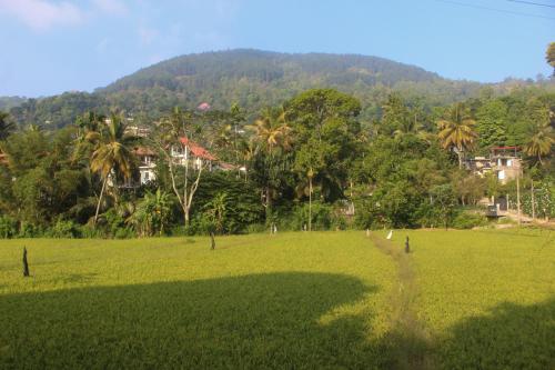 Studio 509, Kandy (Foto 3)