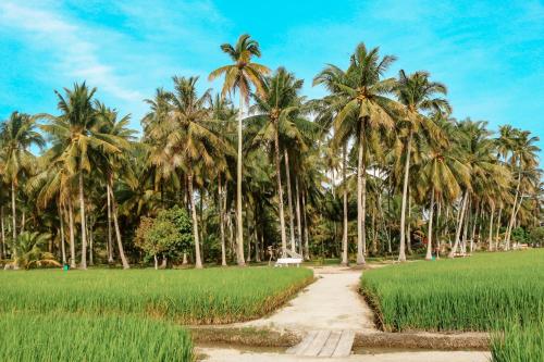 Rumah Inap Kampung Agong in Penaga