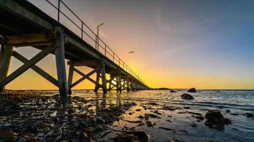 The Coastal Crab, Moonta Bay in Moonta Bay