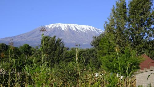 Greenfield Homestay -Full board in Amboseli Nemzeti Park