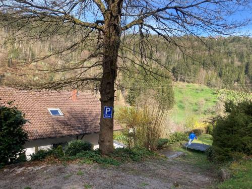 Apartment Waldglück (Apartment Waldgluck) in Dornhan
