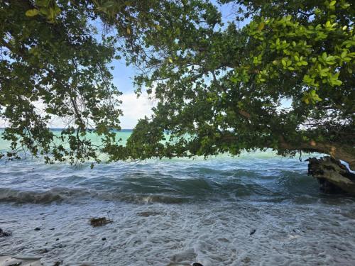 Majuro Beachfront Container Home