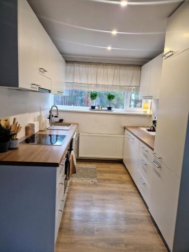 Kitchen, Cosy apartment in Padise in Padise